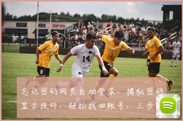 忘记密码网页自动登录，揭秘密码显示技巧，轻松找回账号，三步解锁大法，快速体验