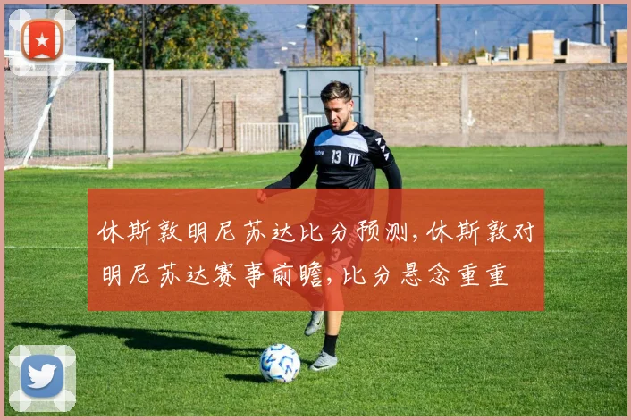 休斯敦明尼苏达比分预测,休斯敦对明尼苏达赛事前瞻,比分悬念重重